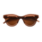 Idol / Brown Acetate & Brown Lens